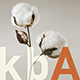 kbA - kontrolliert biologischer Anbau